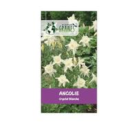 200 graines Graines d'Ancolie Blanche Pure - Majestueuse - Touche Romantique au Jardin