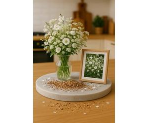 200 Graines - Mélange de Fleurs Sauvages Blanches - 14 Espèces Variétées différentes - Fleurs Blanches Jardin - 389