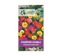 200 graines POURPIER Grandes fleurs Double - portulaca Grandiflora