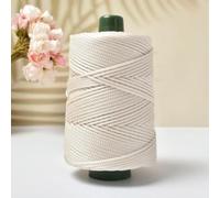 200 m 3 mm Fil à Crocheter d'été pour Corde à Glace, pour Tricot, Sac, Sac à Main, Chapeau de Soleil, Chaussures, Coussins, Fil à Tisser, Accessoires de Couture