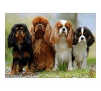 200 pièces (35x25cm) Puzzles en Papier pour Adultes, Knight Charlie Dog Intellectual Challenge, Family Challenge Game, Home Decoration Gifts