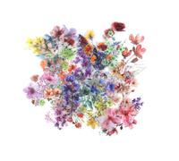200 Pièces Autocollant Fleur, Articles Plantes Fleurs Autocollant Scrapbooking, Couleur Stickers Ordinateur Portable, Autocollants Décoratifs, pour Agendas, Albums, Téléphones Portables