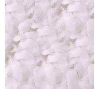 200 Pièces Plume,Plumes D'oie de L'artisanat Naturel,pour le Costumes,Sacs,D'intérieur,Rêves Bricolage,fête du Parti du Mariage,Décoration de Chapeaux,La Longueur est D'environ 7 à 12 cm (Blanc)