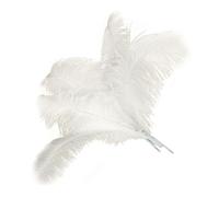 200 Pièces Plumes Blanches,Plumes,Blanche Décoratives Christmas,Guirlande Décoration Artisanat,DIY Panache,Mariage à Maison,Décorations pour,Mariage Bricolage Artisanat,Fabrication D'accessoires
