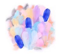 200 Pièces Plumes Colorées, Plumes Artisanales, Plumes Attrape-Rêves, Plumes De Décoration De Coiffure, Plumes Remplies, Adaptées À La Décoration Artisanale Diy