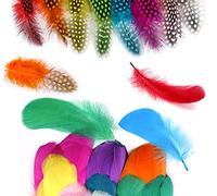 200 PiècesPlumes Loisirs Creatifs Plumes Colorées,Plumes Multicolores,Plume Decoration, pour Artisanat De Mariage Accueil Party Decorations