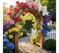 200 Roses Multicolores Acidulées, Cuisine et Balcon, Palette Fruitée et Présence Fraîche Sans Intervention