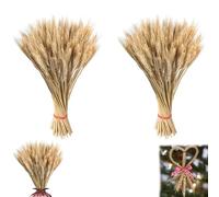 200 Tiges De Fleurs De Blé Séchées De 40 Cm, Épis De Blé Naturels, Bouquets D'h erbes Séchées, Compositions Florales DIY À Base De Fleurs De B lé S échées, Décorations en H erbe De B lé pour Vases