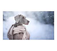 2000(100x70cm) pièces de Puzzle pour Adultes Weimana Puzzle de défi intellectuel pour Enfants Jouet de Puzzle