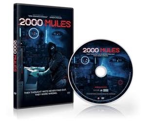 2000 Mules DVD by D'Souza Media New Version with Menu Selections and Subtitles - Deluxe Edition