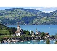2000 Pieces Jigsaw for Adults Puzzles Interlaken, Switzerland Brain Challenge Puzzle for Kids Educational Games,Perfect for Kids Educational Game Entertainment Gift.70x100cm Gi251