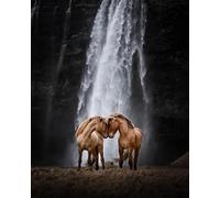 2000-teiliges Puzzle, Lernpuzzle Pferd, Tier, Pferdefamilie, interaktives Familienspiel, Puzzle-Set für Die Gehirnherausforderung 100 x 70 cm