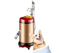 2000W Chauffe-eau Électrique Instantané, Salle De Douche Intelligente Portable,évier Avec Robinet,salle De Bain Pour Animaux De Compagnie,camping Camping-car, Rural,maison De Location,Gold-60L