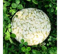 200g De Galette De Fleurs De Jasmin Séchées Galette De Thé Vert Pu-Erh Glacé Cru Galette Parfumée Au Jasmin Et PuErh Pressés Galette De Thé Aux Fleurs Faite Main Relaxante Et Apaisante