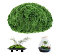 200g Mousse Artificielle Decoration, Mousse Verte Artificielles | mMousse Decorative Artificielle pour Décoration, loisirs créatifs, aquarium, crèche