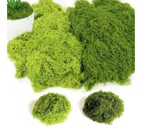 200g Mousse Artificielle, Fausse Mousse Végétale Decorative, 100g Vert Foncé et 100g Vert Clair Mousse Stabilisée pour Artisanat Modelage Mur Terrarium Décoration D'intérieur Noël Pâques Mariage