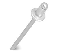 200x Rivets Aveugles 4,8x6,4 mm Pop Rivet Aluminium Acier Tête Zingué Couleur Argent Attache Matériaux Fins Métal Bois Plastique Cuir Applications Diverses