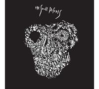 2013-3012 Ep (Featuring Daniel Higgs & Zomes)