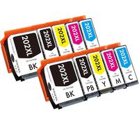 202 XL Cartouches Compatible avec Epson 202 202XL Encre Multipack, pour Expression Premium XP-6000 XP-6005 XP-6100 XP-6105 XP6000 XP6005 XP6100 XP6105 (10er-Pack)