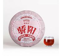 2020 "Jiao Yang" Haiwan Vieux Camarade Soleil Flamboyant Thé Puerh Shu Puer mûr 357g