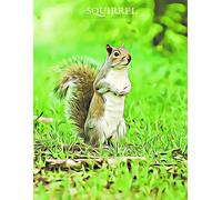 2020 Planner - Daily And Monthly Planner: The Perfect Gift - 2020 Planner For Red Squirrel Lovers. Men, Women And Kids Love These Diaries (2020 Planners)