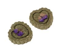 2021 2 pièces Petits Animaux meulage des Dents gâteau Biscuit Animaux Lapin Chinchilla Guniea Cochon