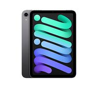 2021 Apple iPad Mini (8,3-pouces, Wi-FI, 256 Go) Gris Sidéral (Reconditionné)