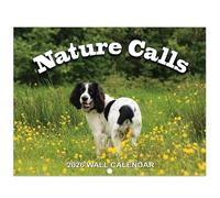 2021 Calendrier mural 2021 avec papier épais de qualité supérieure, 27,9 x 43,2 cm (ouvert), calendrier et cadeaux parfaits pour organiser et planifier, cadeaux de Gag