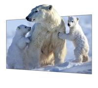 2023 Wupro2023 New White Soft Picture Frame Screen ALR Home Cinema 16:9 110 inch Screen