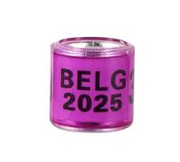 2024/2025 Anneau de Pied de Pigeon Multicolore avec Boucles d'oreilles Mot qualité Anneau d'oiseau Durable Anneau de Course de Pigeon Outil d'entraînement d'oiseau 100 pièces(Purple,Year 2024)