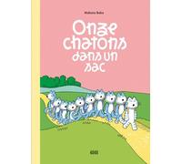 Onze chatons dans un sac