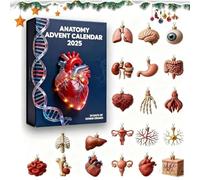 2025 Anatomy Advent Calendar, 24 Days Christmas Countdown Calendar, Human Body Organs Ornament Set Deco, Gift for Medical Students, Anatomy, Science Lovers