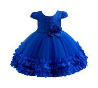 2025 Bébé Fille Robe Tulle sans Manches Enfant Princesse Fleur Robes Mariage Fête Robe Fille Robes Fête d'anniversaire Demoiselle d'honneur Robes Filles pour La Fête Anniversaire Formel Mariage