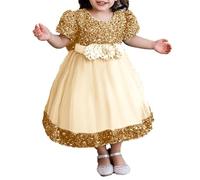 2025 Bébé Fille Robe Tulle sans Manches Jeune Enfant Princesse Tutu Fleur Robes Mariage Fête d'anniversaire Robe Fille pour La Fête Anniversaire Formel Mariage Robes de Soirée 6 Mois-5 Ans