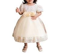 2025 Bébé Fille Robe Tulle sans Manches Jeune Enfant Princesse Tutu Fleur Robes Mariage Fête d'anniversaire Robe Fille pour La Fête Anniversaire Formel Mariage Robes de Soirée 6 Mois-5 Ans