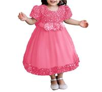 2025 Bébé Fille Robe Tulle sans Manches Jeune Enfant Princesse Tutu Fleur Robes Mariage Fête d'anniversaire Robe Fille pour La Fête Anniversaire Formel Mariage Robes de Soirée 6 Mois-5 Ans