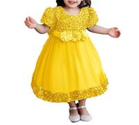 2025 Bébé Fille Robe Tulle sans Manches Jeune Enfant Princesse Tutu Fleur Robes Mariage Fête d'anniversaire Robe Fille pour La Fête Anniversaire Formel Mariage Robes de Soirée 6 Mois-5 Ans