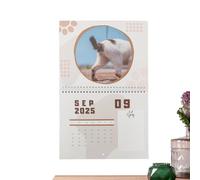 2025 Calendrier Mural Cat Balls, Calendrier Boules De Chat 2025 Cat Balls Calendrier 2025 Calendrier De Cul De Chat 2025, Calendrier De Boule De Chat 2025 Pour La Famille, Les Amis, Les Amoureux Des C