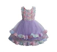 2025 Filles Robes Tutu Fleur Mariage Anniversaire Cake Smash Mode Robe de Soirée Fête Fille À Volants Dentelle Fleur Robes Pageant Fête De Mariage Baptême Robe en Dentelle Pas Cher