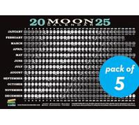 2025 Moon Calendar Card (5 pack): Lunar Phases, Eclipses, and More!