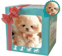 2025 Nouveau Robot Dog, Nicoo - Mon Chiot de Robot Réaliste, Robotpuppy Qui Agit Comme Un Vrai Chiot, Robotdog Qui Agit Comme Un Vrai Chien, Ai Robotdog avec la Marche, les Aboiement de la Queue