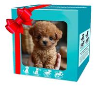 2025 Nouveau Robot Dog, Robot Puppy Qui Agit comme Un Vrai Chiot, - Mon Chiot Robotique Réaliste, Dog Robot pour Multicolore JOUET