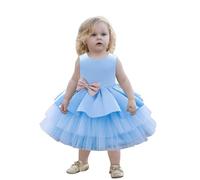 2025 Robes Soiree Princesse Filles Bowknot Robes Tulle sans Manches Enfant Princesse Tutu Robe Fille pour Les Fêtes Anniversaires et Mariages Baptême Demoiselle d'honneur Communion