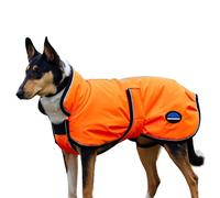 2025 Weatherbeeta Comfitec Reflective 300D Deluxe Showerproof Dog Coat 1029050 - Orange Weatherbeeta Size - 65CM