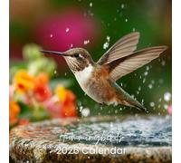 2026 Calendar - Hummingbirds: Premium Thick Paper, and Colorful Hummingbird Images | Perfect Gift for Bird and Nature Lovers