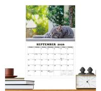 2026 CAT ANGLAIS CALENDAR - Planificateur de style animal, organisateur de bureau créatif, livre d'horaire décoratif de grande valeur | Charmant design mignon pour les espaces de travail de bureau et