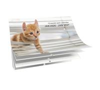 2026 CAT ANGLAIS Calendrier Animals Styles Creative Calendrier De Grande Valeur, Planification De 13 Mois Pour Les Étudiants Consultants Consultants Freelancers Studio Office Classroom Holding Living
