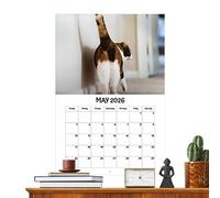 2026 Cat Ass Calendar Mur suspendu Planificateur annuel | Gestion du calendrier annuel de conception de chat humoristique | Planification mensuelle de type bloc-notes pour la famille, l'école, la sall
