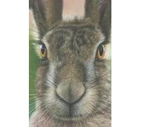 2026 hard back Diary with Hare artwork by Sally Sturgess Pet Portraits & Wildlife Art. Week per page with UK holidays, pagan festivals and moon ... Ideal gift for an animal or wildlife lover