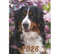 2026: Large Monthly Calendar Planner - Bernese Mountain Dog